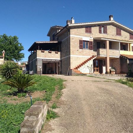 La Tana Di Stefano Hotell Anguillara Sabazia Exteriör bild